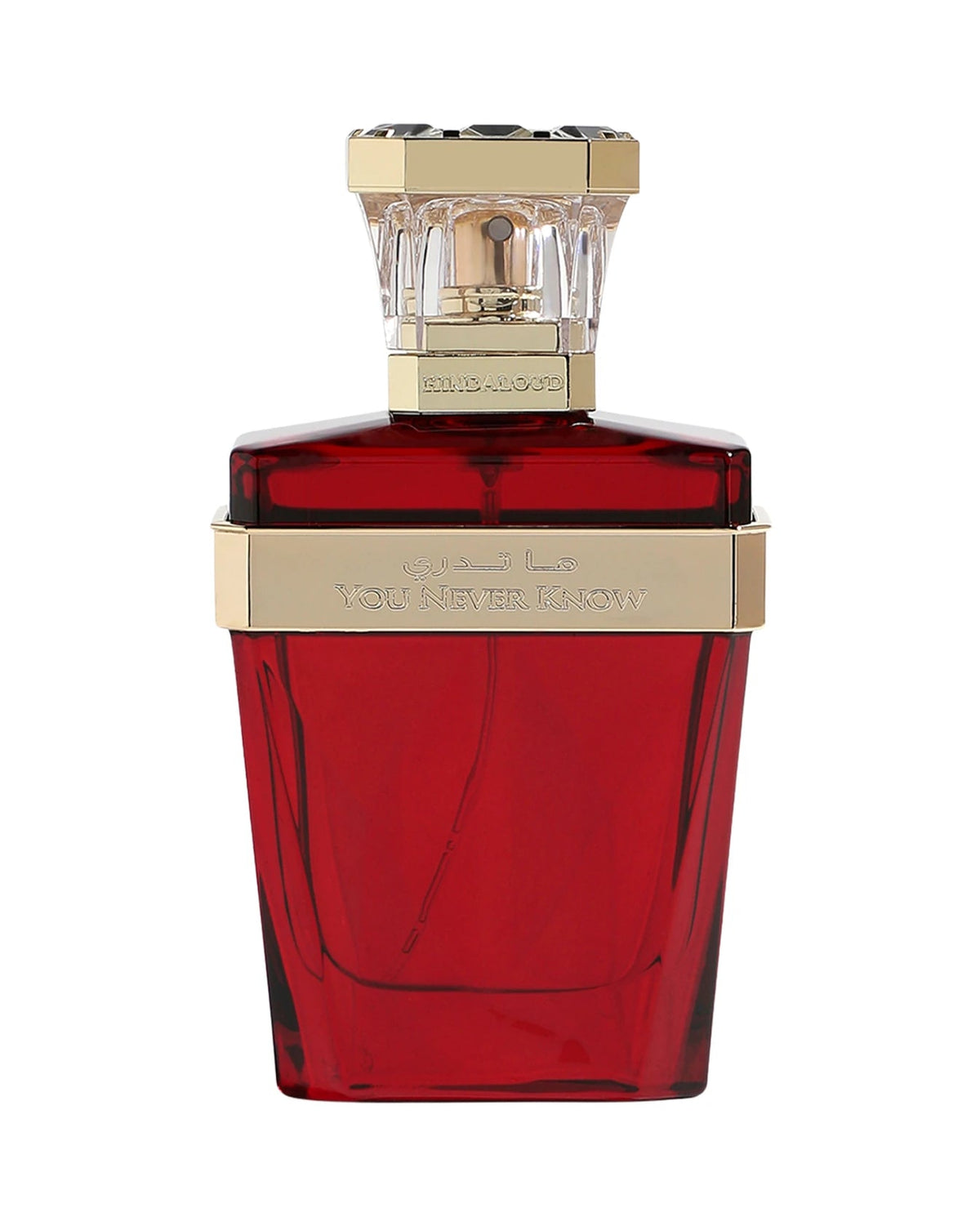Hind Al Oud You Never Know (50ml) - FragranceGems