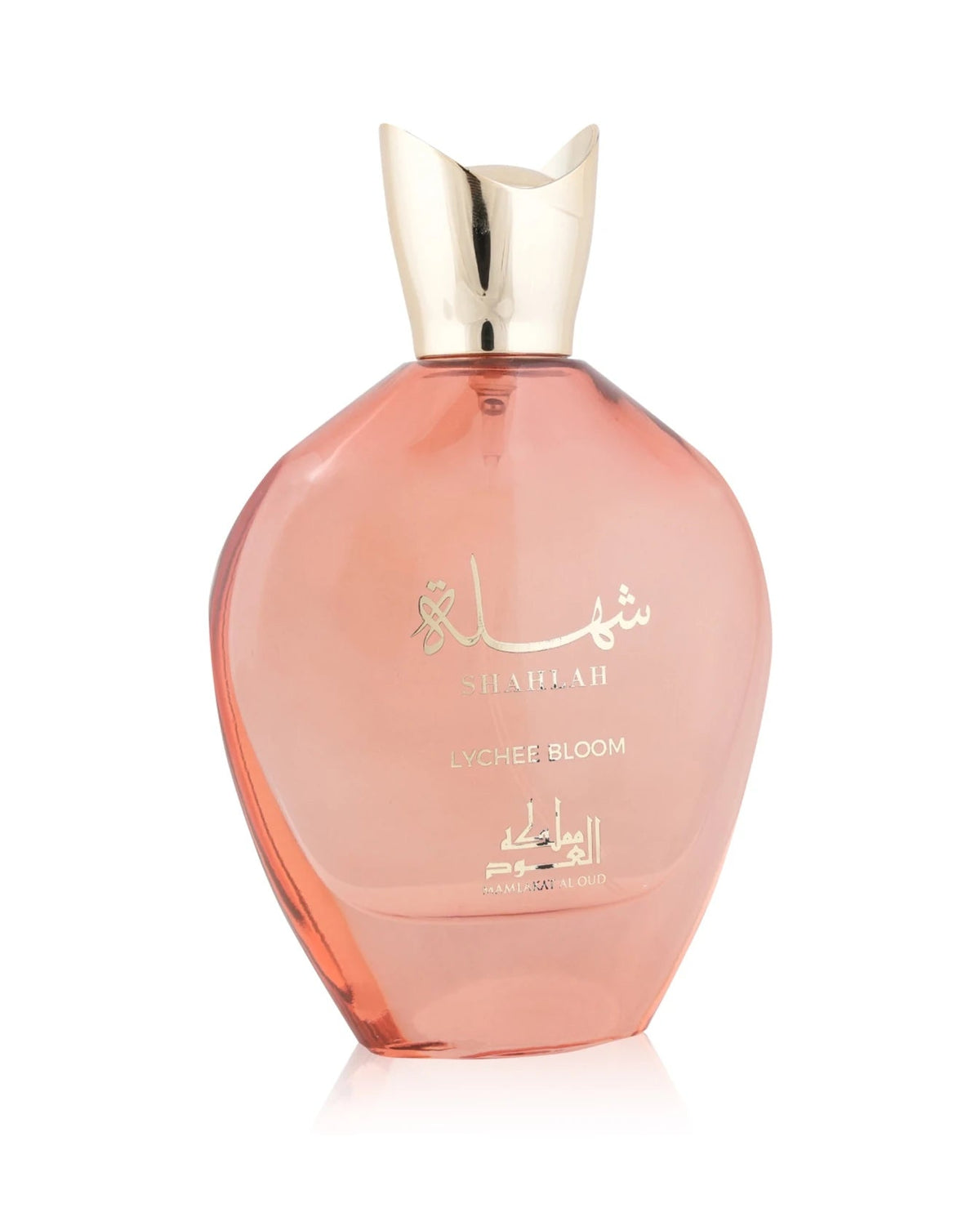 Mamlakat Oud Shahlah Lychee Bloom (100ml) - FragranceGems
